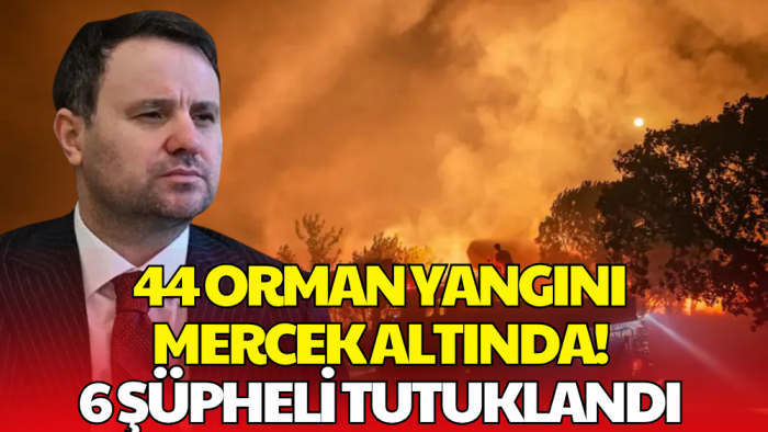 44 Orman Yangını Mercek Altında! 6 Şüpheli Tutuklandı